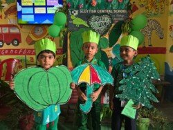 green-day-24-11