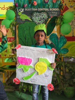 green-day-24-12