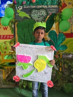 green-day-24-13