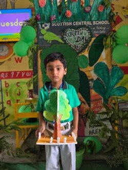 green-day-24-14