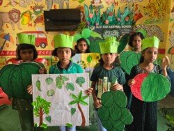 green-day-24-3