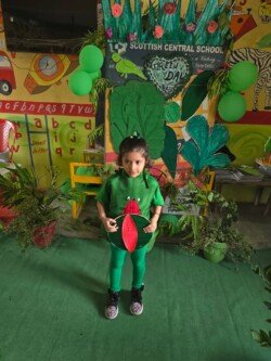 green-day-24-5