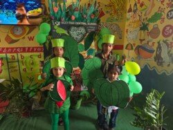 green-day-24-6