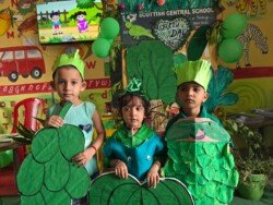 green-day-24-9